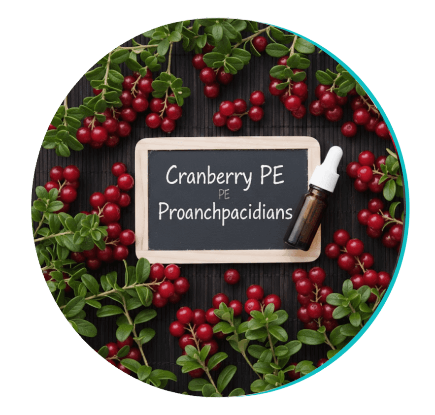 where to buy biodentix